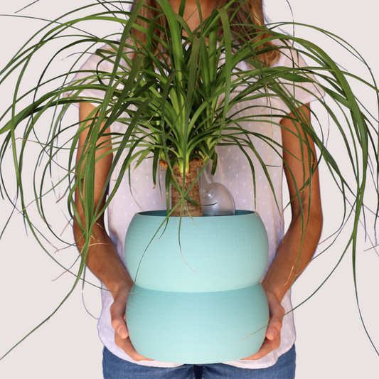 Blumentopf groß, Blumentopf modern, designer Blumentopf, Hochzeitsgeschenk, Geburtstagsgeschenk, Pflanzen, Übertopf groß