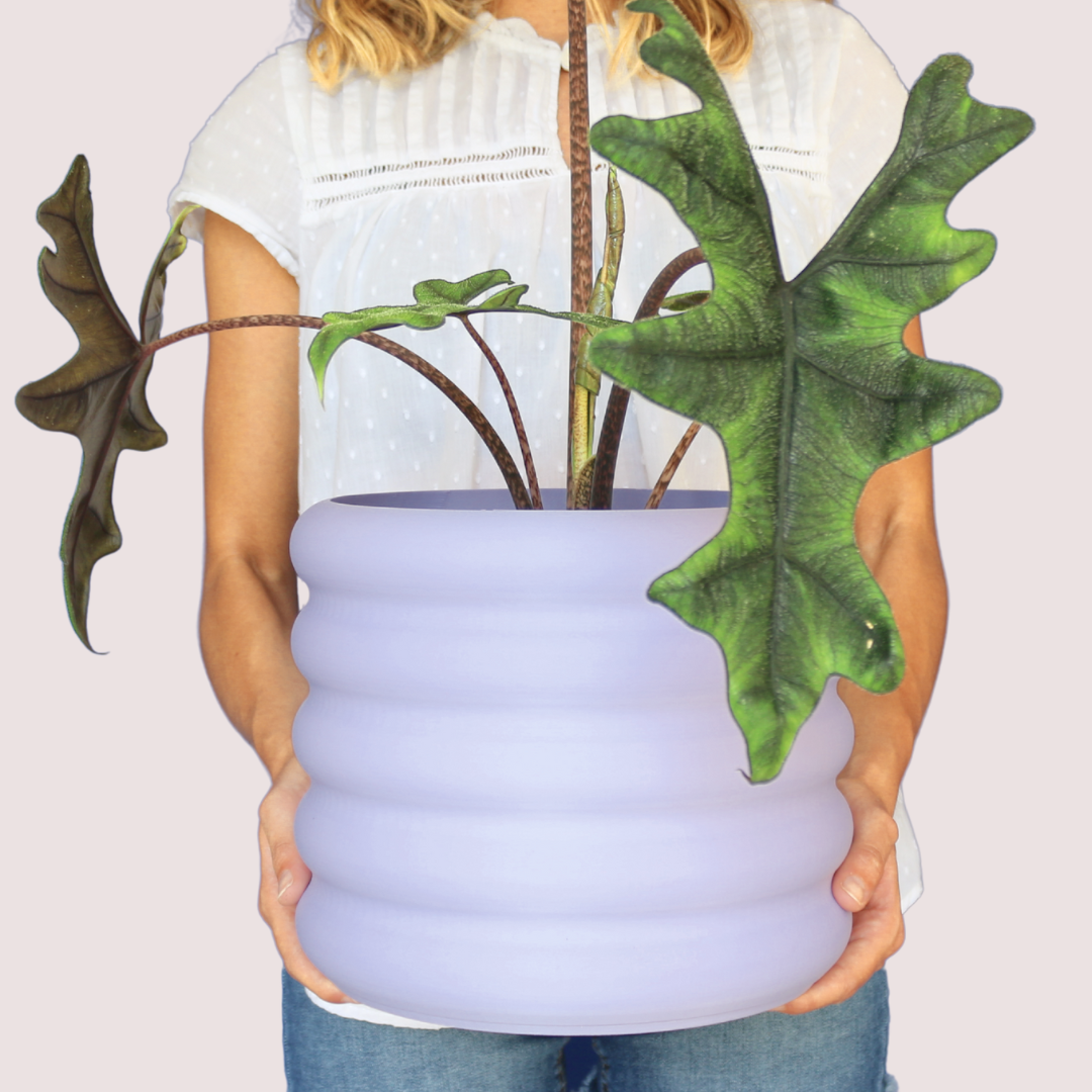 Blumentopf groß, Blumentopf modern, designer Blumentopf, Hochzeitsgeschenk, Geburtstagsgeschenk, Pflanzen, Übertopf groß