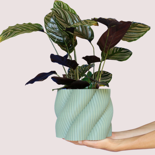 Blumentopf groß, Blumentopf modern, designer Blumentopf, Hochzeitsgeschenk, Geburtstagsgeschenk, Pflanzen, Übertopf groß