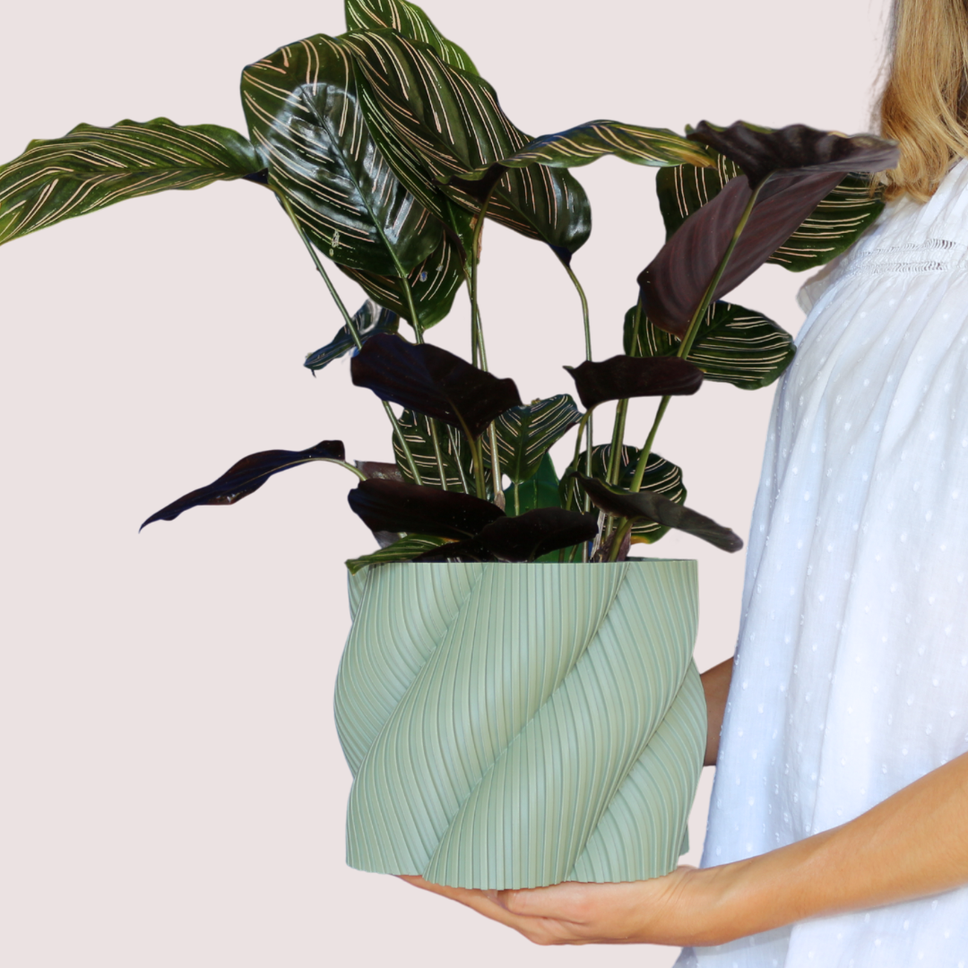 Blumentopf groß, Blumentopf modern, designer Blumentopf, Hochzeitsgeschenk, Geburtstagsgeschenk, Pflanzen, Übertopf groß