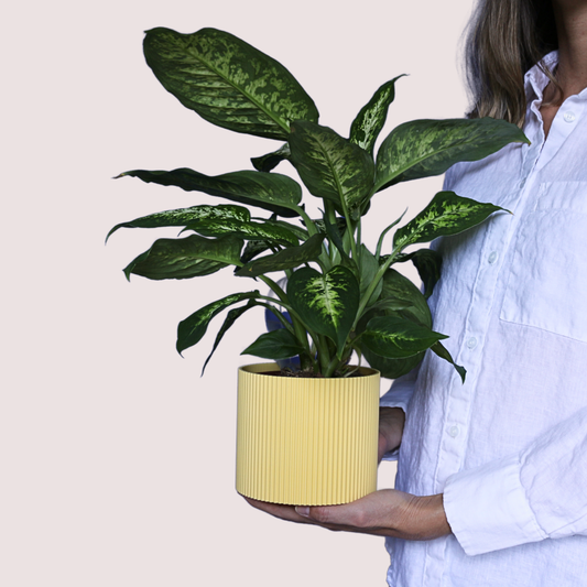 Blumentopf groß, Blumentopf modern, designer Blumentopf, Hochzeitsgeschenk, Geburtstagsgeschenk, Pflanzen, Übertopf groß