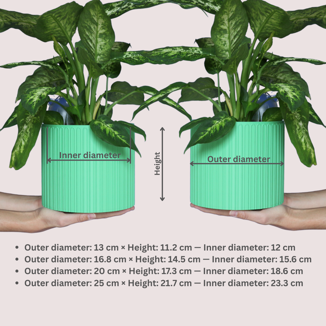 Blumentopf Loopis