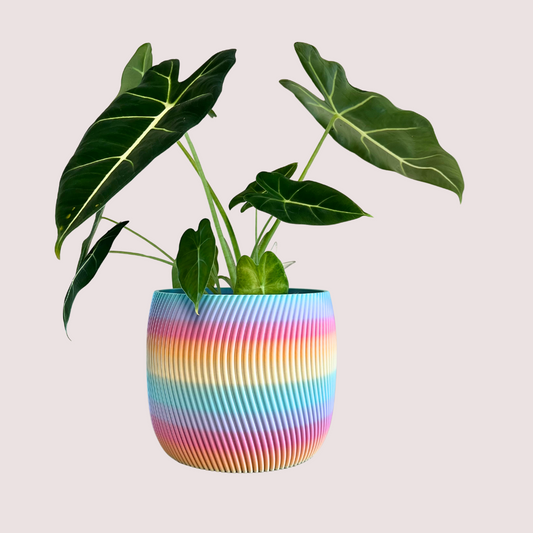 Blumentopf groß, Blumentopf modern, designer Blumentopf, Hochzeitsgeschenk, Geburtstagsgeschenk, Pflanzen, Übertopf groß