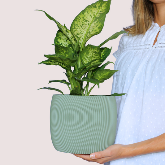 Blumentopf groß, Blumentopf modern, designer Blumentopf, Hochzeitsgeschenk, Geburtstagsgeschenk, Pflanzen, Übertopf groß