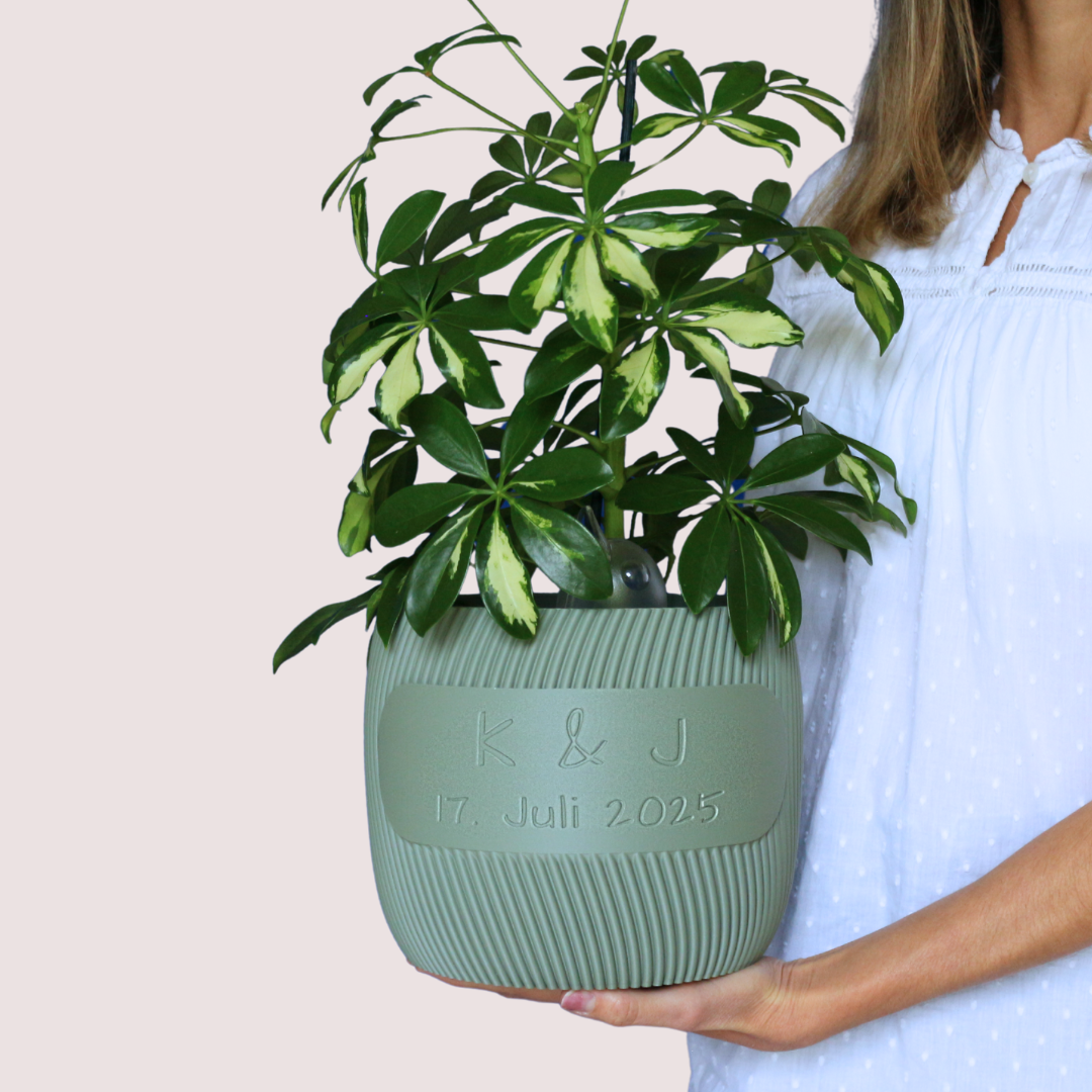 Blumentopf groß, Blumentopf modern, designer Blumentopf, Hochzeitsgeschenk, Geburtstagsgeschenk, Pflanzen, Übertopf groß, Blumentopf groß personalisiert, personalisierter Blumentopf, Blumentopf groß personalisiert. Blumentopf Twista personalisiert