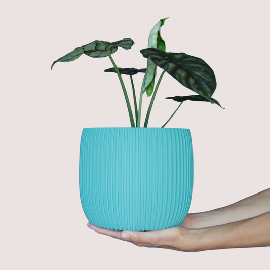 Blumentopf groß, Blumentopf modern, designer Blumentopf, Hochzeitsgeschenk, Geburtstagsgeschenk, Pflanzen, Übertopf groß