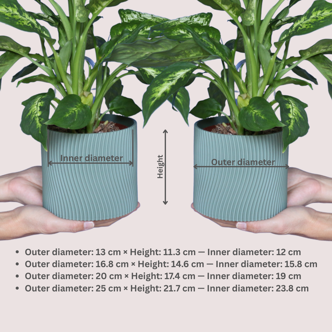 Blumentopf Vibra