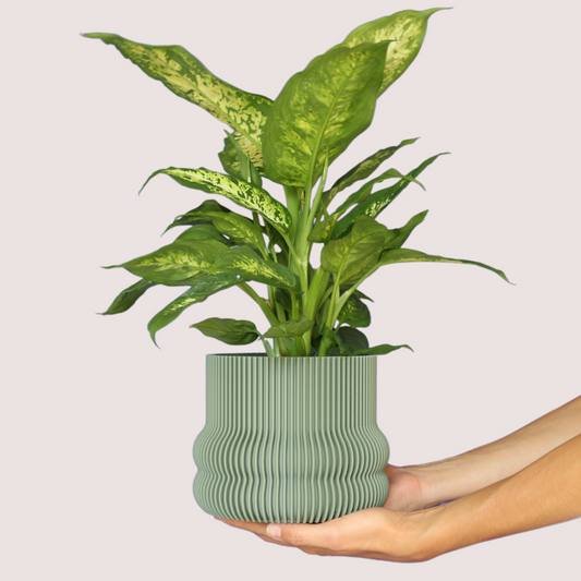 Blumentopf groß, Blumentopf modern, designer Blumentopf, Hochzeitsgeschenk, Geburtstagsgeschenk, Pflanzen, Übertopf groß