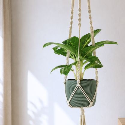 Makramee Blumenampel mit Blumentopf Twista