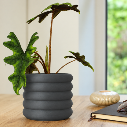 Design Blumentopf Donni