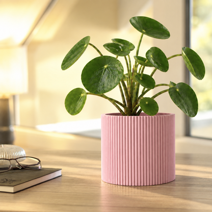 Design Blumentopf Linoro