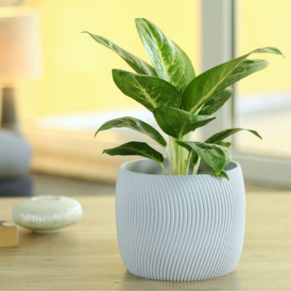 Design Blumentopf Twista