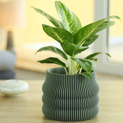 Design Blumentopf Wavey