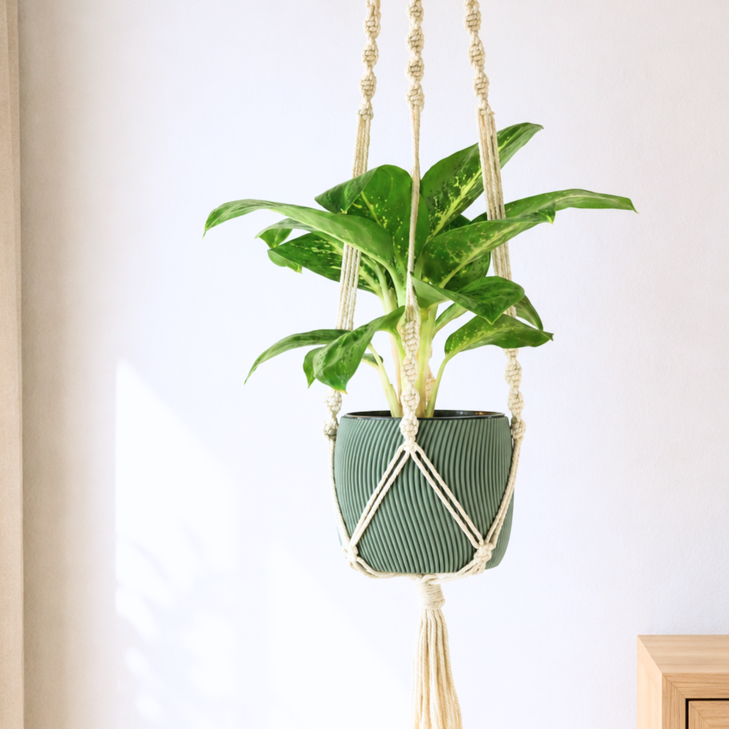 Makramee Blumenampel mit Blumentopf Twista