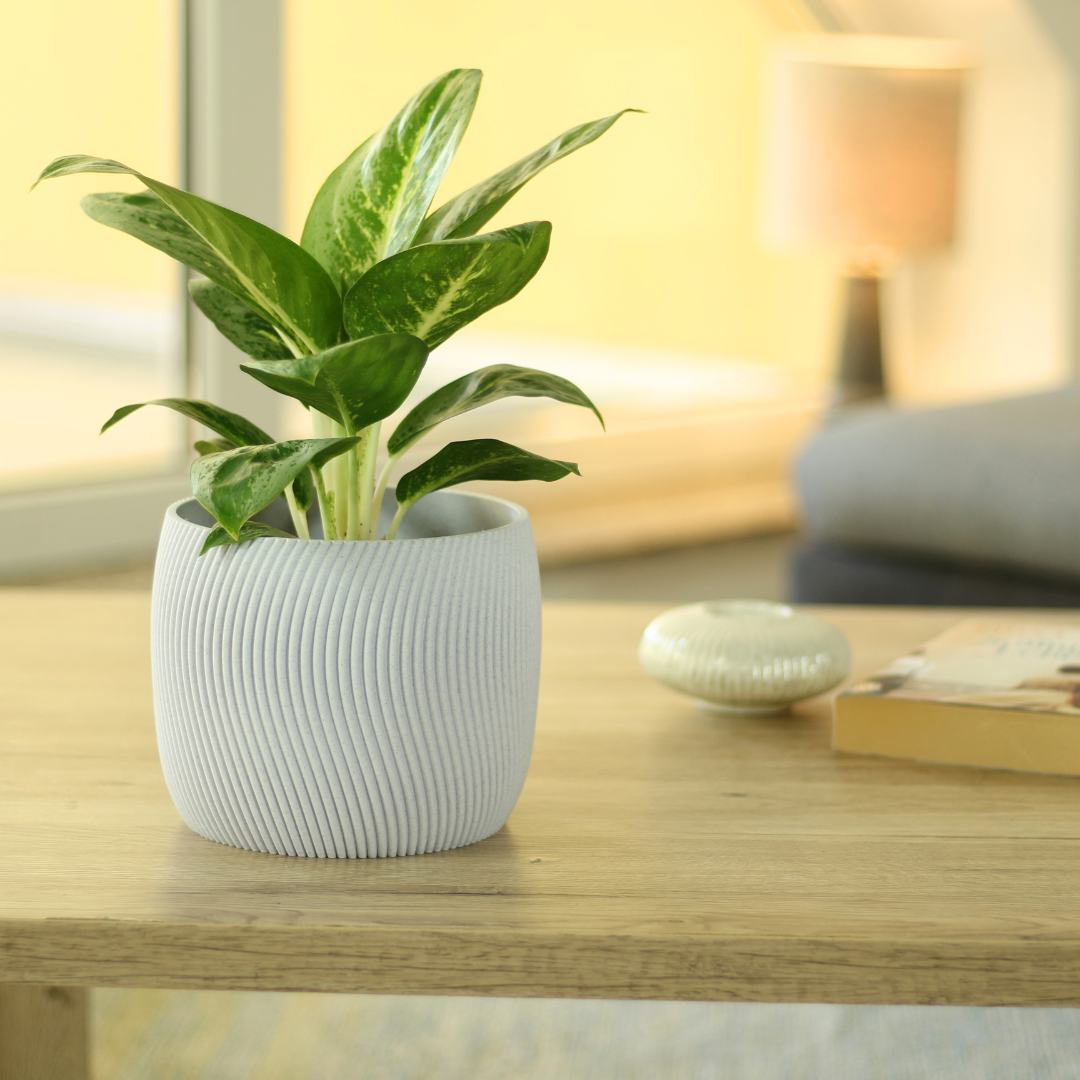 Design Blumentopf Twista