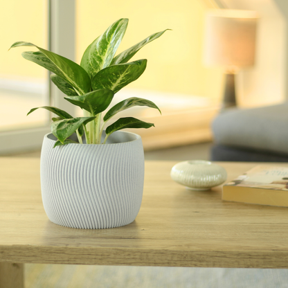 Design Blumentopf Twista