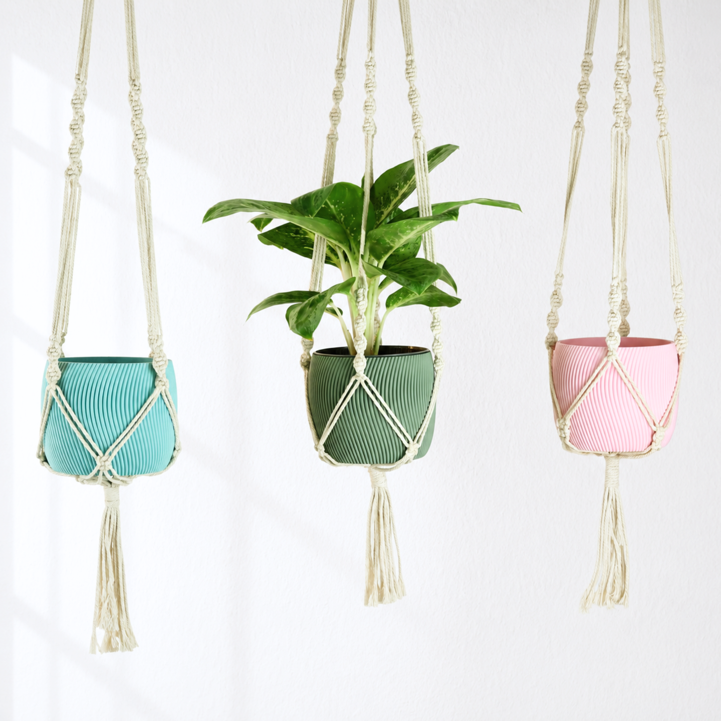 Makramee Blumenampel mit Blumentopf Twista
