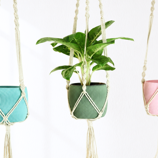 Makramee Blumenampel mit Blumentopf Twista