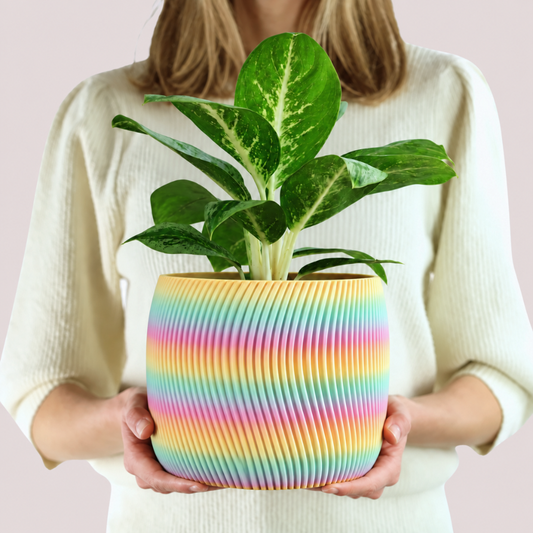 Design Blumentopf Regenbogen