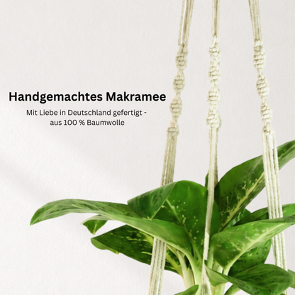 Makramee Blumenampel mit Blumentopf Twista