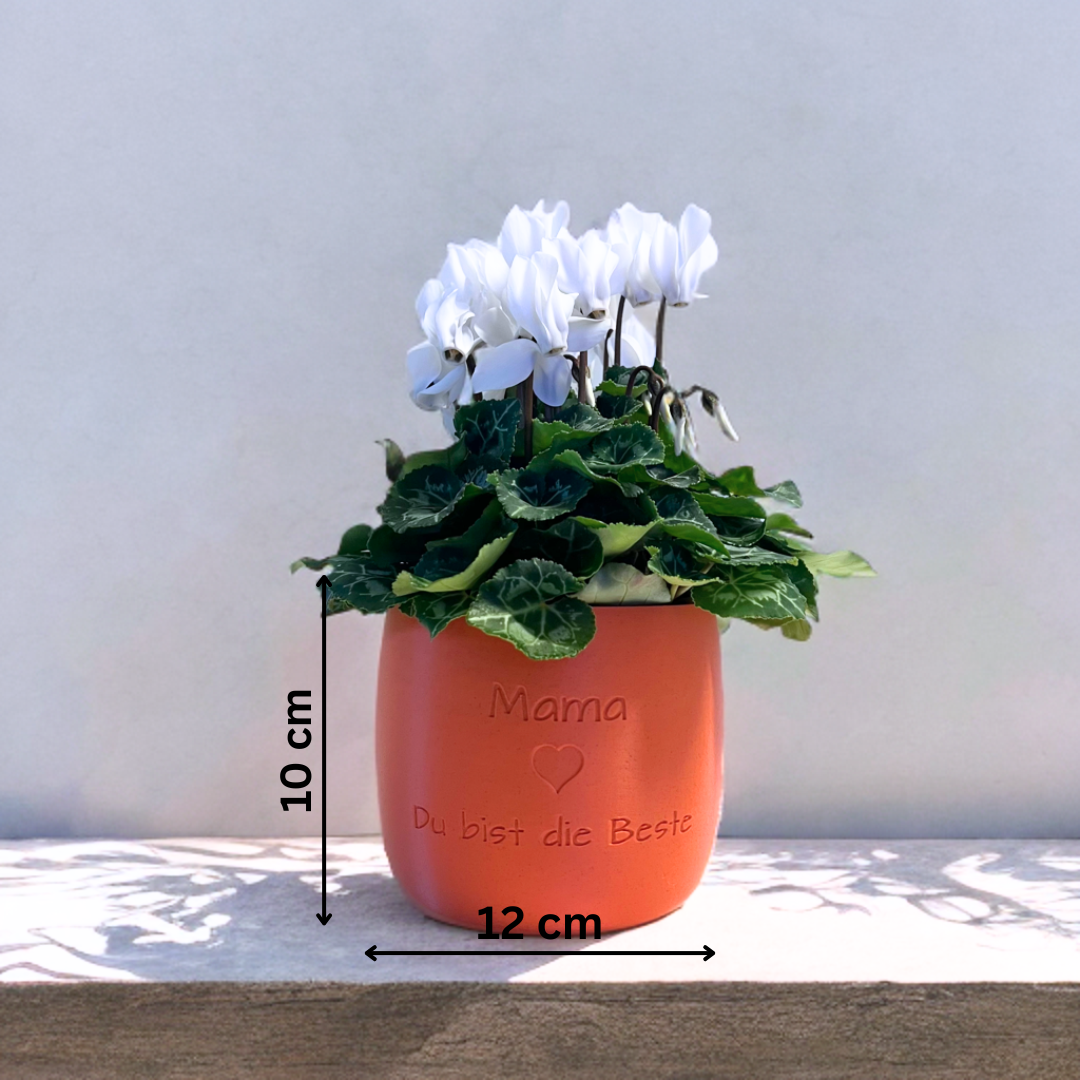 Blumentopf groß, Blumentopf modern, designer Blumentopf, Hochzeitsgeschenk, Geburtstagsgeschenk, Pflanzen, Übertopf groß, Blumentopf groß personalisiert, Blumentopf Origin personalisiert