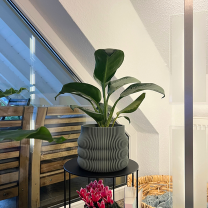 Blumentopf groß, Blumentopf modern, designer Blumentopf, Hochzeitsgeschenk, Geburtstagsgeschenk, Pflanzen, Übertopf groß