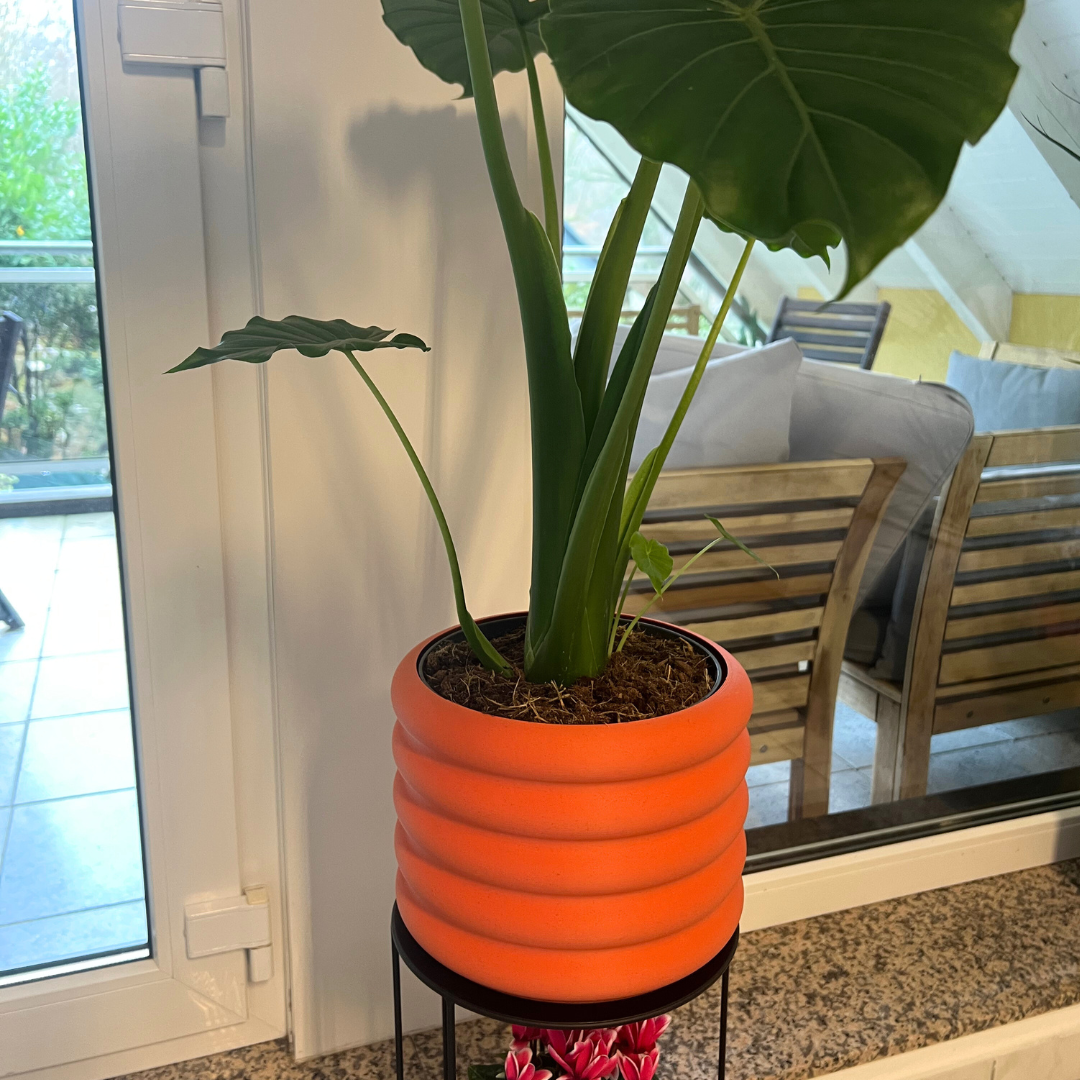 Blumentopf groß, Blumentopf modern, designer Blumentopf, Hochzeitsgeschenk, Geburtstagsgeschenk, Pflanzen, Übertopf groß