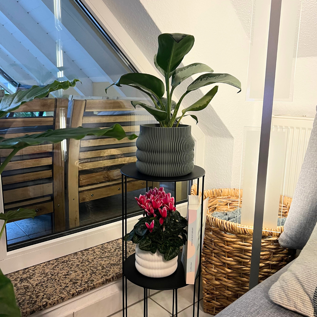 Blumentopf groß, Blumentopf modern, designer Blumentopf, Hochzeitsgeschenk, Geburtstagsgeschenk, Pflanzen, Übertopf groß