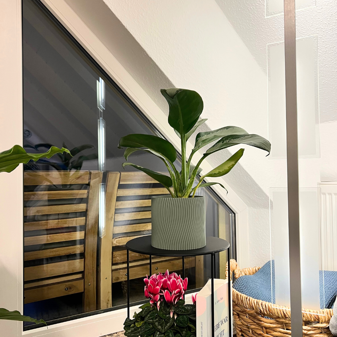 Blumentopf Vibra