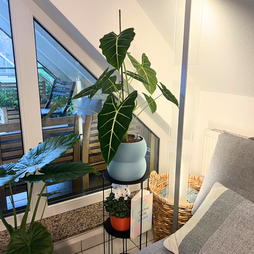 Blumentopf groß, Blumentopf modern, designer Blumentopf, Hochzeitsgeschenk, Geburtstagsgeschenk, Pflanzen, Übertopf groß