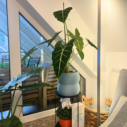 Blumentopf groß, Blumentopf modern, designer Blumentopf, Hochzeitsgeschenk, Geburtstagsgeschenk, Pflanzen, Übertopf groß