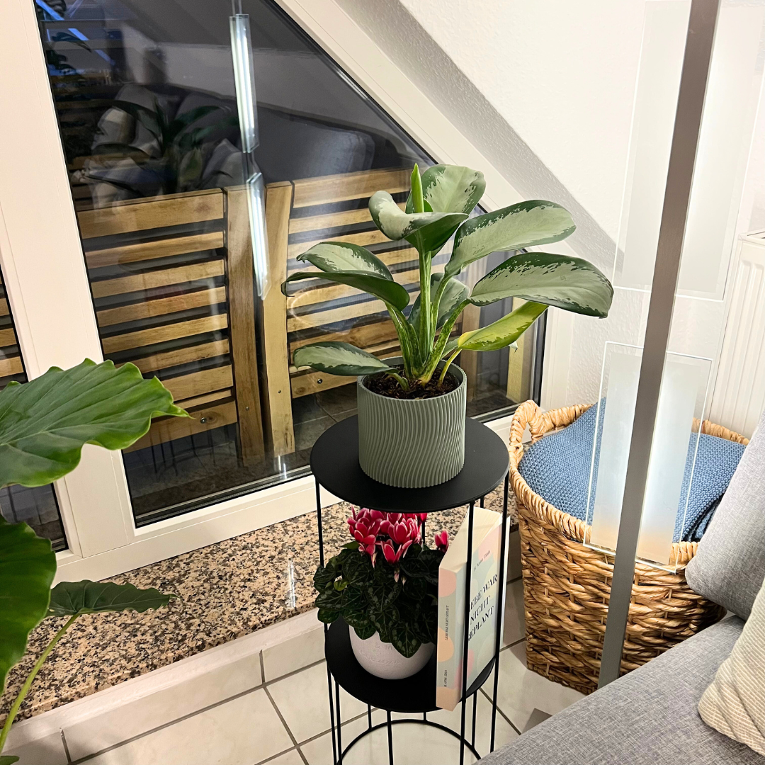 Blumentopf Vibra