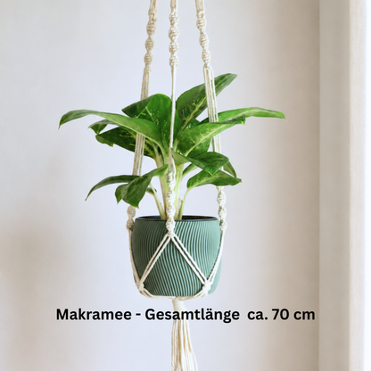 Makramee Blumenampel mit Blumentopf Twista