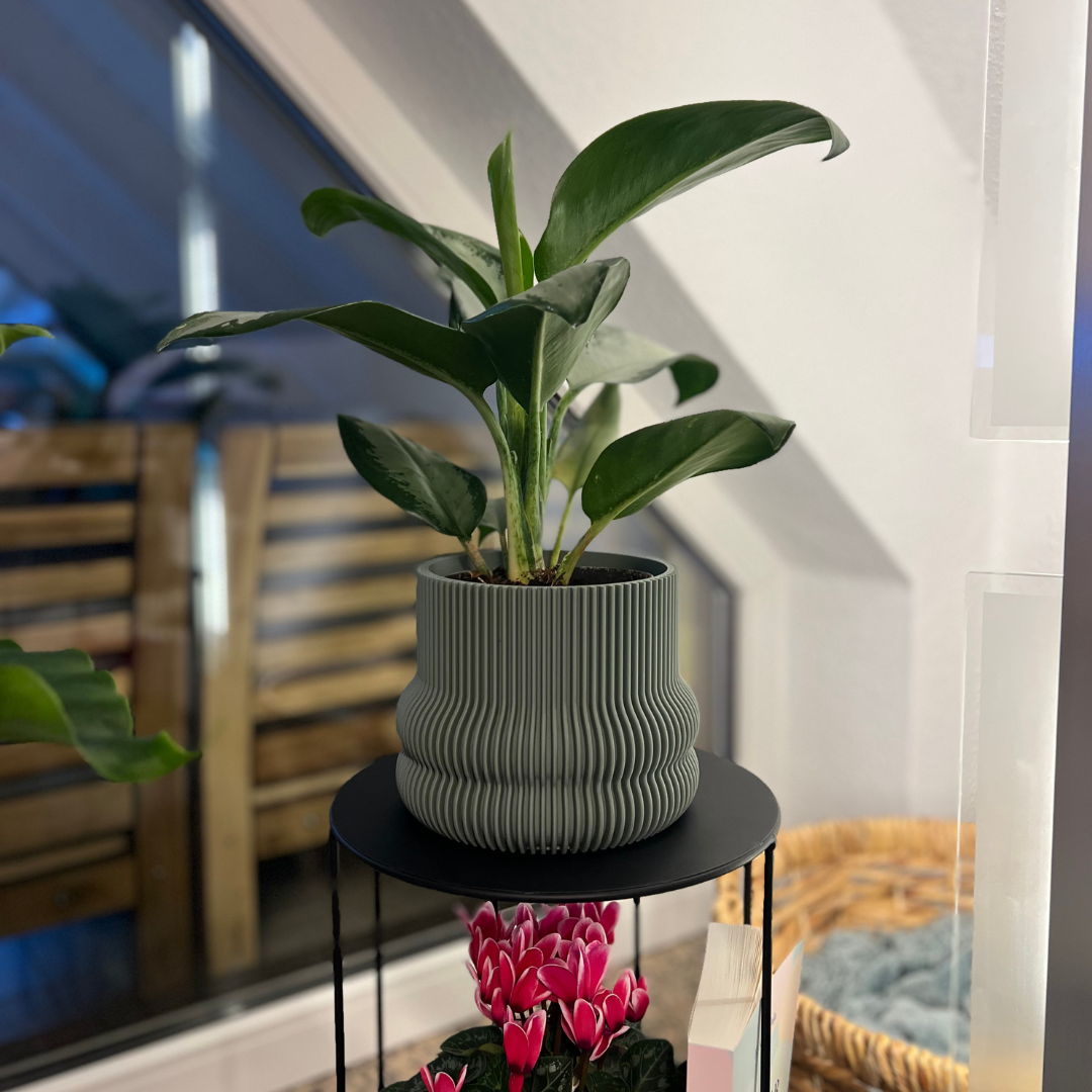 Blumentopf groß, Blumentopf modern, designer Blumentopf, Hochzeitsgeschenk, Geburtstagsgeschenk, Pflanzen, Übertopf groß
