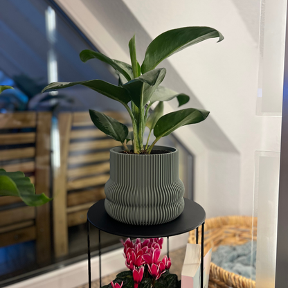 Blumentopf groß, Blumentopf modern, designer Blumentopf, Hochzeitsgeschenk, Geburtstagsgeschenk, Pflanzen, Übertopf groß