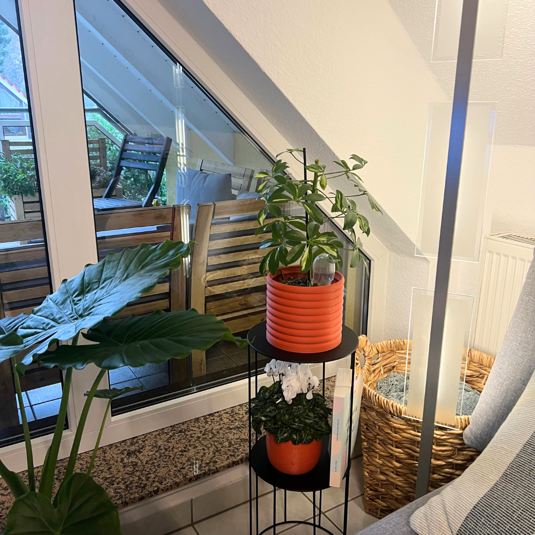 Blumentopf groß, Blumentopf modern, designer Blumentopf, Hochzeitsgeschenk, Geburtstagsgeschenk, Pflanzen, Übertopf groß