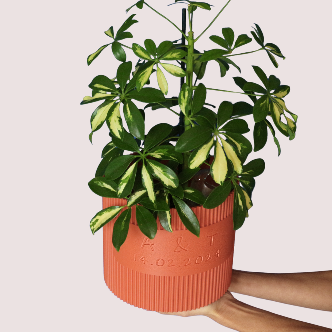 Blumentopf groß, Blumentopf modern, designer Blumentopf, Hochzeitsgeschenk, Geburtstagsgeschenk, Pflanzen, Übertopf groß, Blumentopf groß personalisiert, Blumentopf Linoro personalisiert