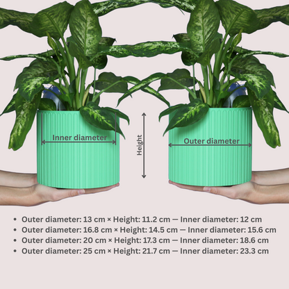 Blumentopf Loopis