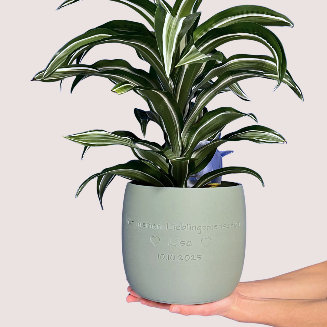 Blumentopf groß, Blumentopf modern, designer Blumentopf, Hochzeitsgeschenk, Geburtstagsgeschenk, Pflanzen, Übertopf groß, Blumentopf groß personalisiert, Blumentopf Origin personalisiert