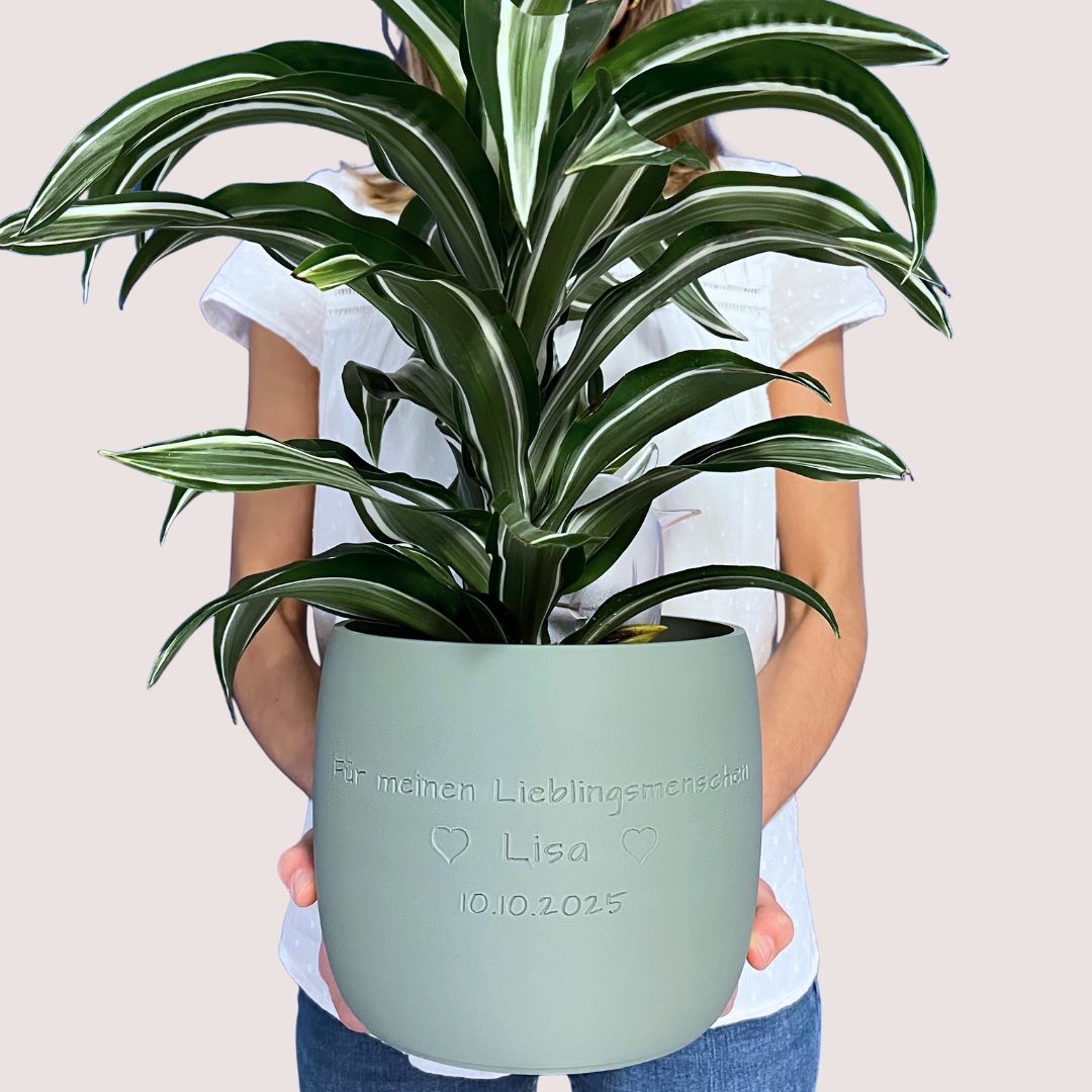 Blumentopf groß, Blumentopf modern, designer Blumentopf, Hochzeitsgeschenk, Geburtstagsgeschenk, Pflanzen, Übertopf groß, Blumentopf groß personalisiert, Blumentopf Origin personalisiert