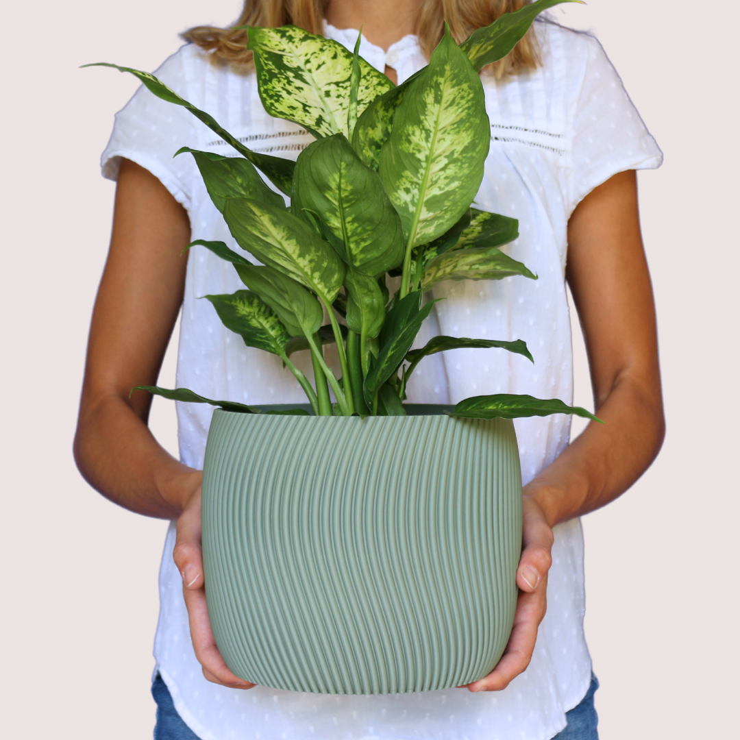 Blumentopf groß, Blumentopf modern, designer Blumentopf, Hochzeitsgeschenk, Geburtstagsgeschenk, Pflanzen, Übertopf groß
