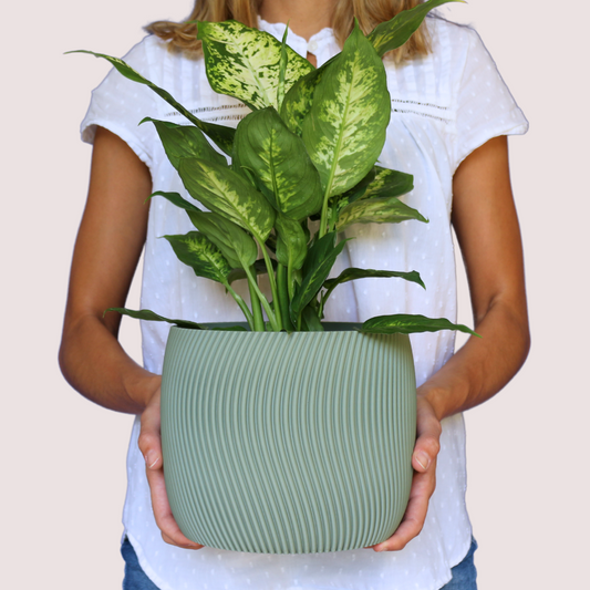 Blumentopf groß, Blumentopf modern, designer Blumentopf, Hochzeitsgeschenk, Geburtstagsgeschenk, Pflanzen, Übertopf groß