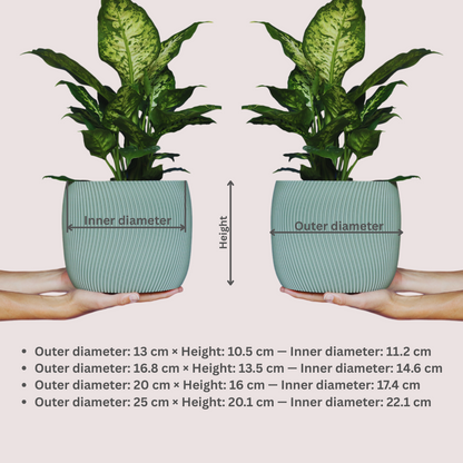 Blumentopf groß, Blumentopf modern, designer Blumentopf, Hochzeitsgeschenk, Geburtstagsgeschenk, Pflanzen, Übertopf groß