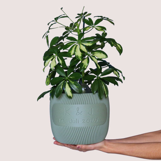 Blumentopf groß, Blumentopf modern, designer Blumentopf, Hochzeitsgeschenk, Geburtstagsgeschenk, Pflanzen, Übertopf groß, Blumentopf groß personalisiert, personalisierter Blumentopf, Blumentopf groß personalisiert. Blumentopf Twista personalisiert