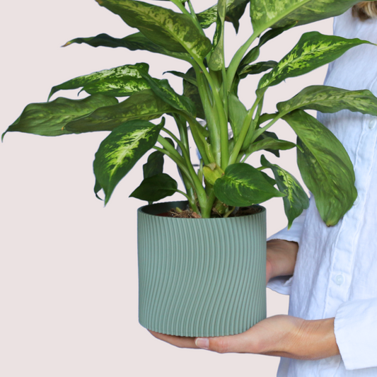 Blumentopf groß, Blumentopf modern, designer Blumentopf, Hochzeitsgeschenk, Geburtstagsgeschenk, Pflanzen, Übertopf groß