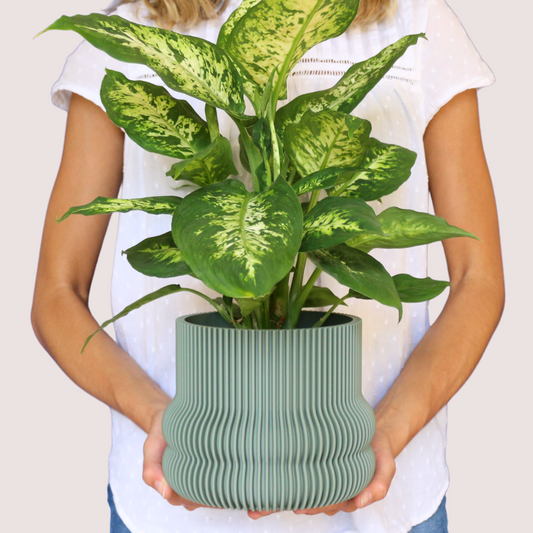 Blumentopf groß, Blumentopf modern, designer Blumentopf, Hochzeitsgeschenk, Geburtstagsgeschenk, Pflanzen, Übertopf groß