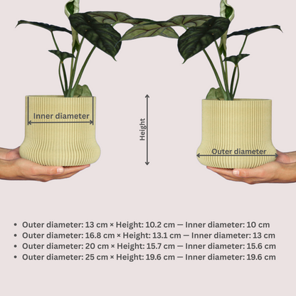 Blumentopf Wivion