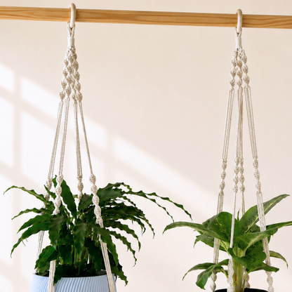 Makramee Blumenampel mit Blumentopf Twista