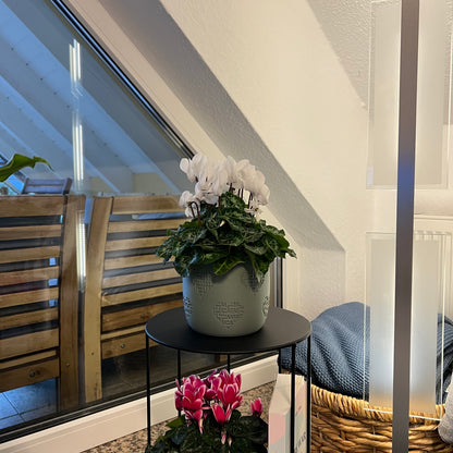 Blumentopf Amorin