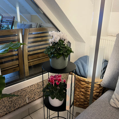 Blumentopf Amorin
